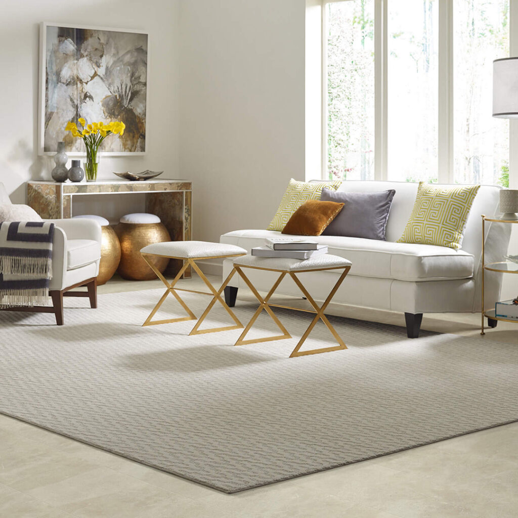 Area rug | Fredericks Floor covering